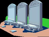 Burial Cost